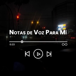 Notas de Voz Para Mí