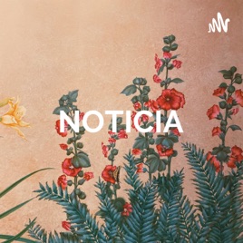 NOTICIA - CAMILA G -GRADO 10°