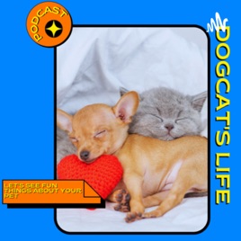 Dogcat’s Life