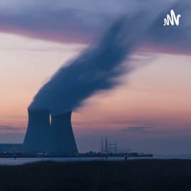 Nuclear reactor detalied