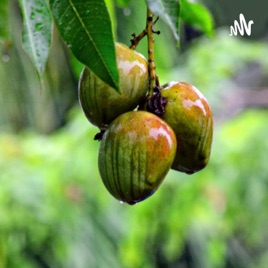 Nutritional benefits of a mango