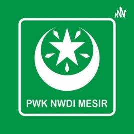 NWDI MESIR TALKS