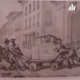 O Assunto: Transportes De Mercadorias e Coletivos.