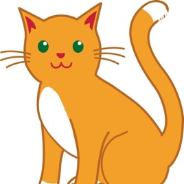 O Gato