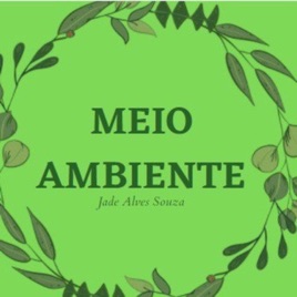 O meio ambiente