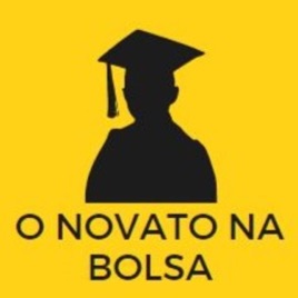O Novato na Bolsa
