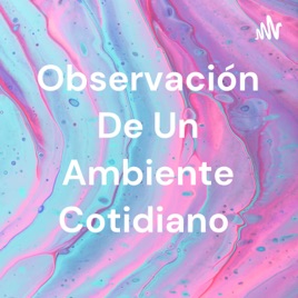 Observación De Un Ambiente Cotidiano