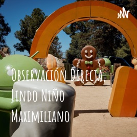 Observación Directa, Lindo Niño Maximiliano
