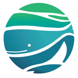 Ocean Ideas