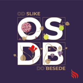 Od slike do besede