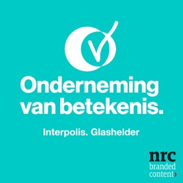 Onderneming van Betekenis