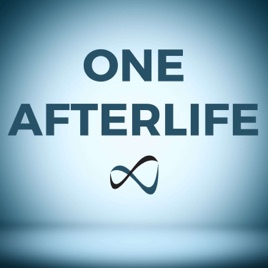 One Afterlife: Near Death Experiences and The Big Picture