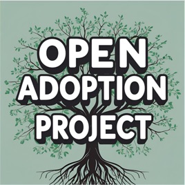 Open Adoption Project