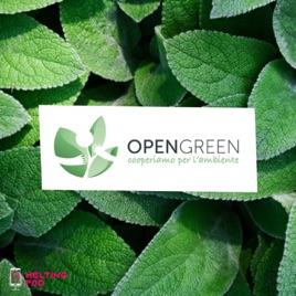 Open Green. Cooperiamo per l'ambiente