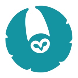 Open Owl Studios