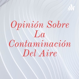 Opinión Sobre La Contaminación Del Aire