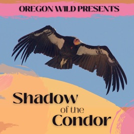 Oregon Wildcast: The Lost Sea Otters of Oregon