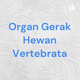 Organ Gerak Hewan Vertebrata