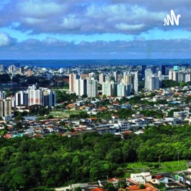 Organização Da Cidade