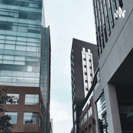 Organización Como Función Administrativa