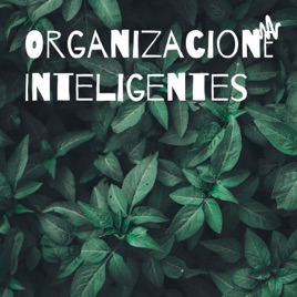 Organizaciones Inteligentes
