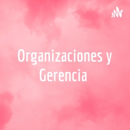 Organizaciones y Gerencia