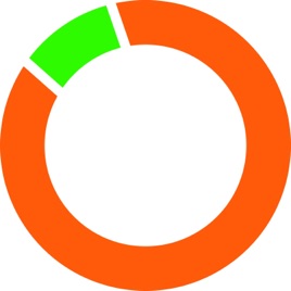 Ortocast