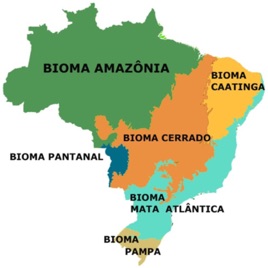 Os Biomas Brasileiros