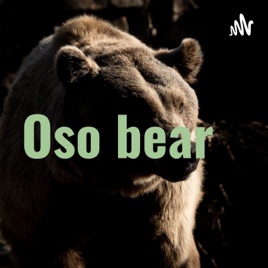 Oso bear