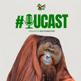 OuCast by BOS Foundation