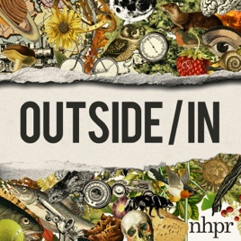 Outside/In