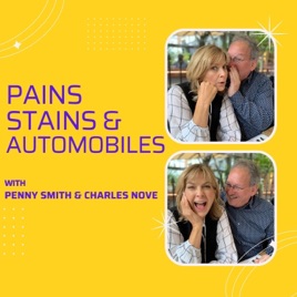Pains Stains & Automobiles