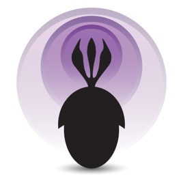 Palaeocast