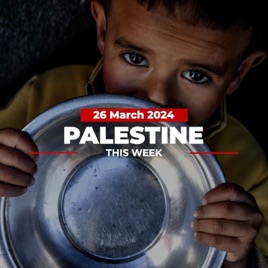 Palestine This Week