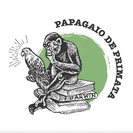 Papagaio de Primata