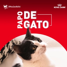 Papo de Gato