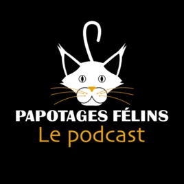 Papotages félins