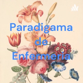 Paradigama de Enfermeria
