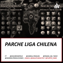 Parche Liga Chilena