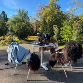 Parkpodden