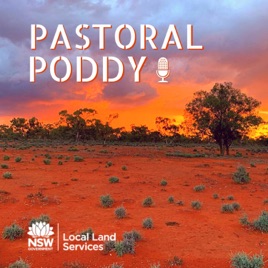 Pastoral Poddy - Australian Farming