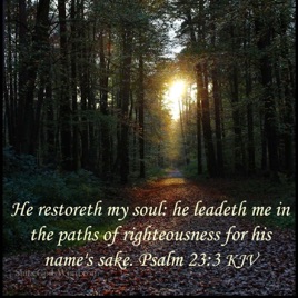 Paths of Righteousness