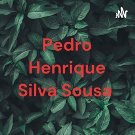 Pedro Henrique Silva Sousa