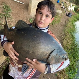 Peixes