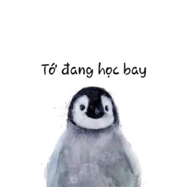 Penguin học bay