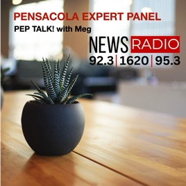 Pensacola Expert Panel