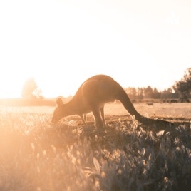 People Settling In Australia