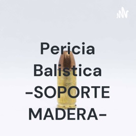 Pericia Balistica -SOPORTE MADERA-