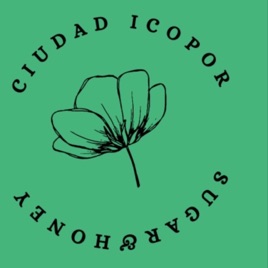 Ciudad Icopor