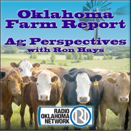 Perspectives Podcast - Oklahoma Farm Report